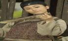 女主胎穿爸妈是明星